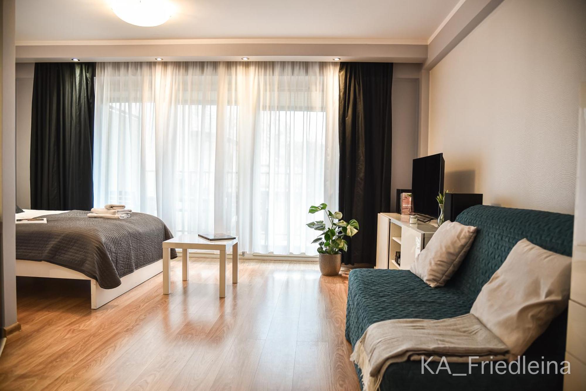Apartament - Friedleina *